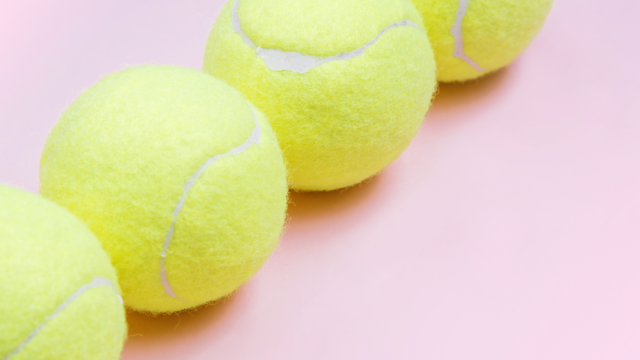 室蘭ジュニアテニスフェスティバルの開催要項を公開